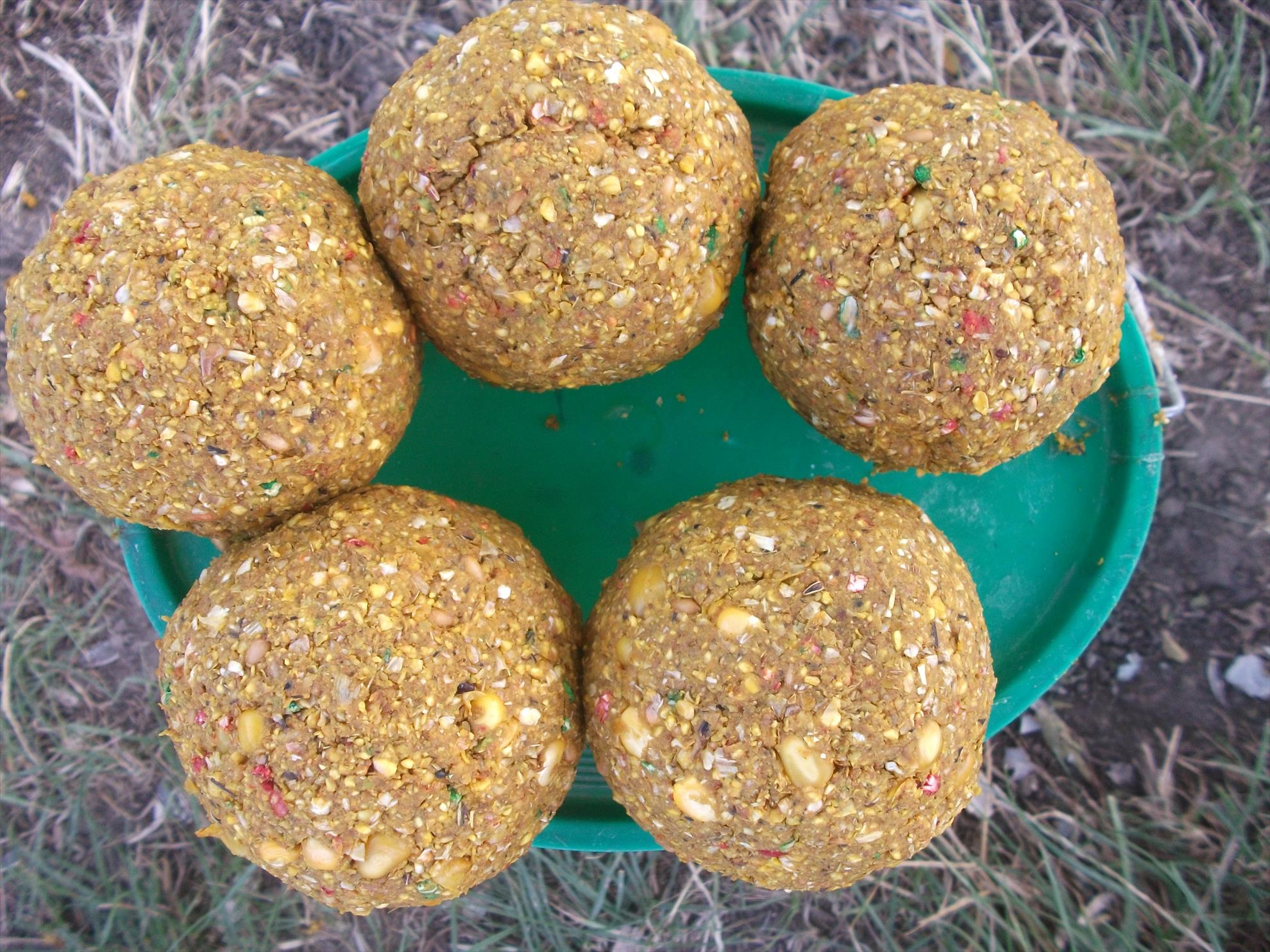 Walter 25-26.07.2013 - dscf0769.jpg